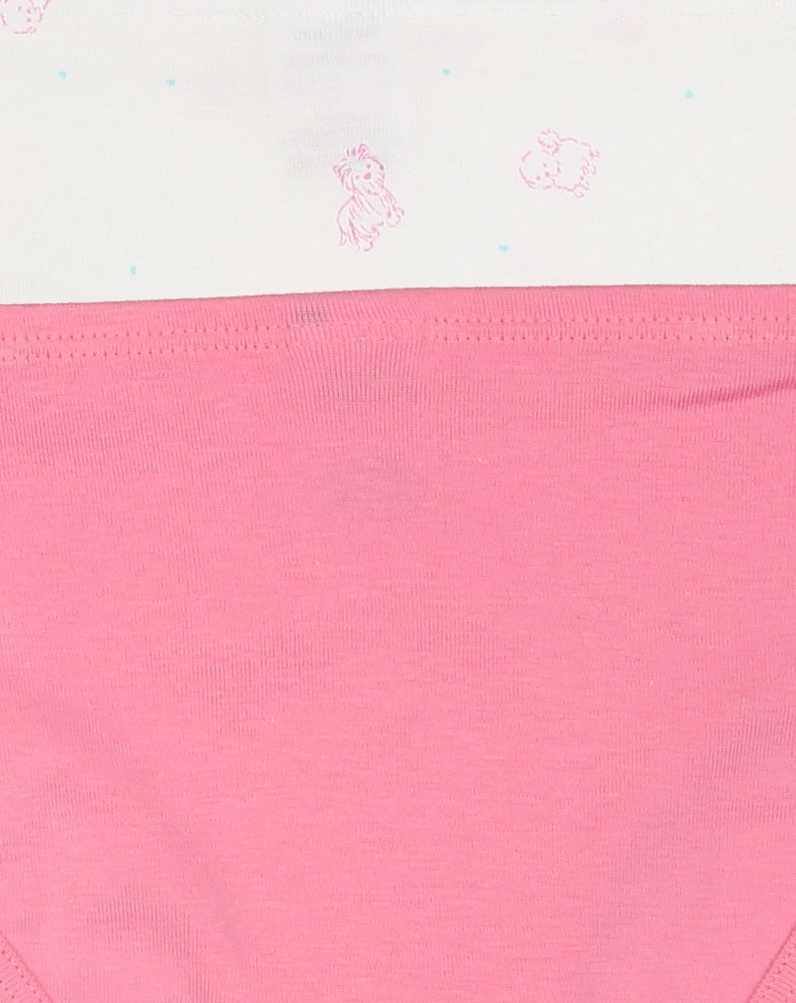 Hüftslip CLASSICS – HUND 2er Pack in pink/weiß