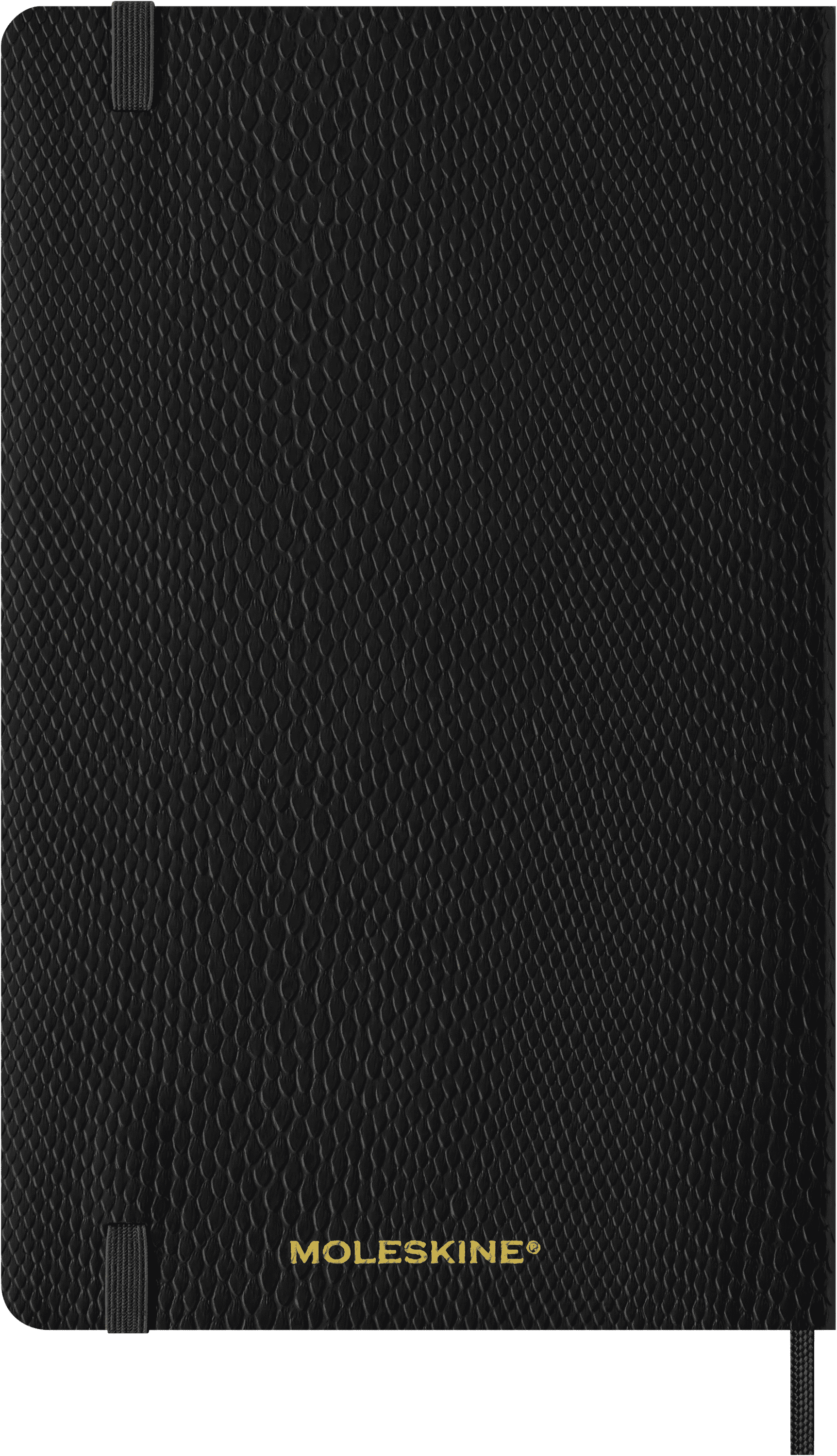 Precious & Ethical Planner 2025 Weekly, 12-Month, Vegan Cover