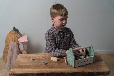 Dantoy Verktøykasse Wood In Gift Box