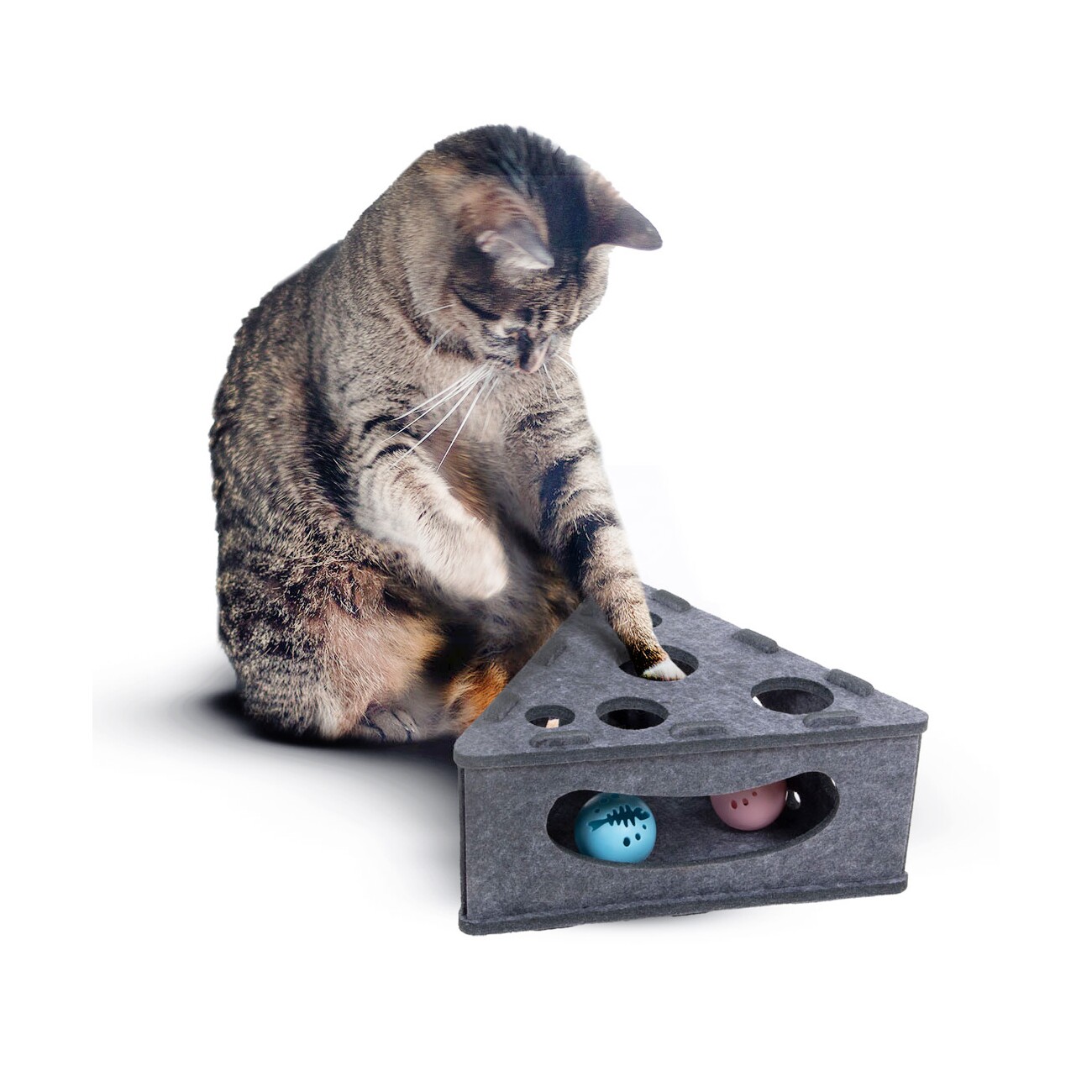 Canadian Cat Company Intelligenzspielzeug Käsekästchen