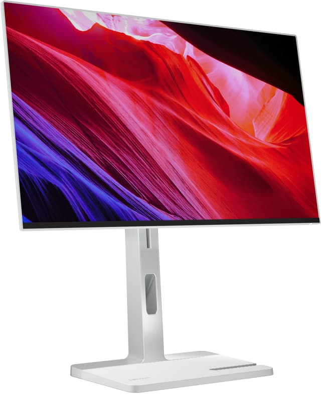 Lenovo L24m-4A 23,8