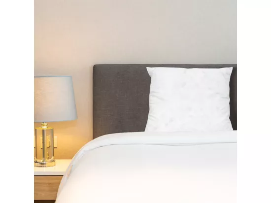 BELLECOUR LITERIE | Oreiller 65x65 cm CHAMBORD | Duvet & Plumes