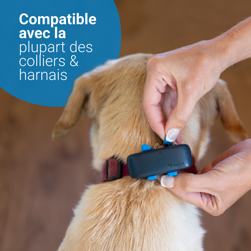 Tractive GPS DOG 4 - collier GPS pour chien avec suivi d'activité - Bleu nuit