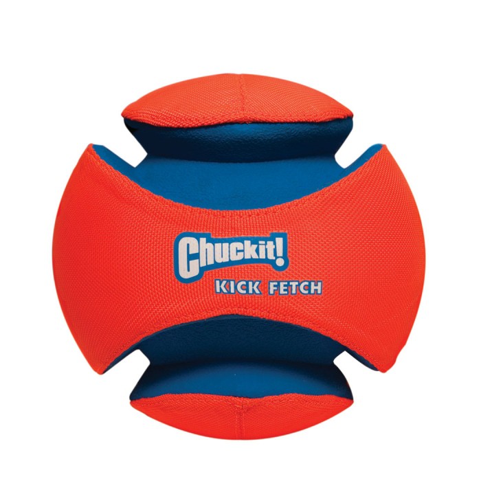 Ballon Kick Fetch