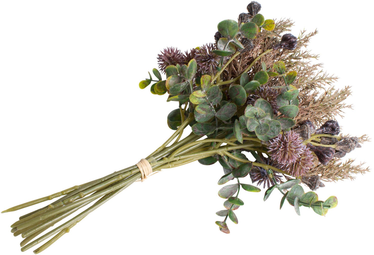 Botanic-Haus Kunstzweig »Eukalyptusbund mit Kugeldisteln«