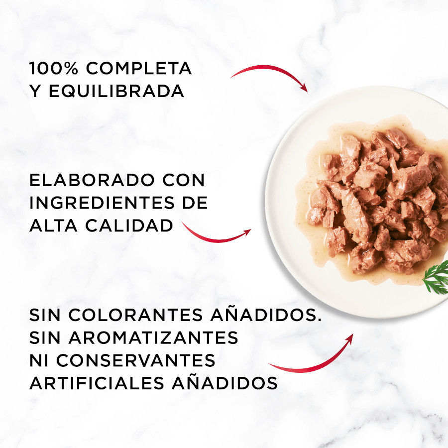 Seleção Gourmet Mon Petit de Peixes ao Molho