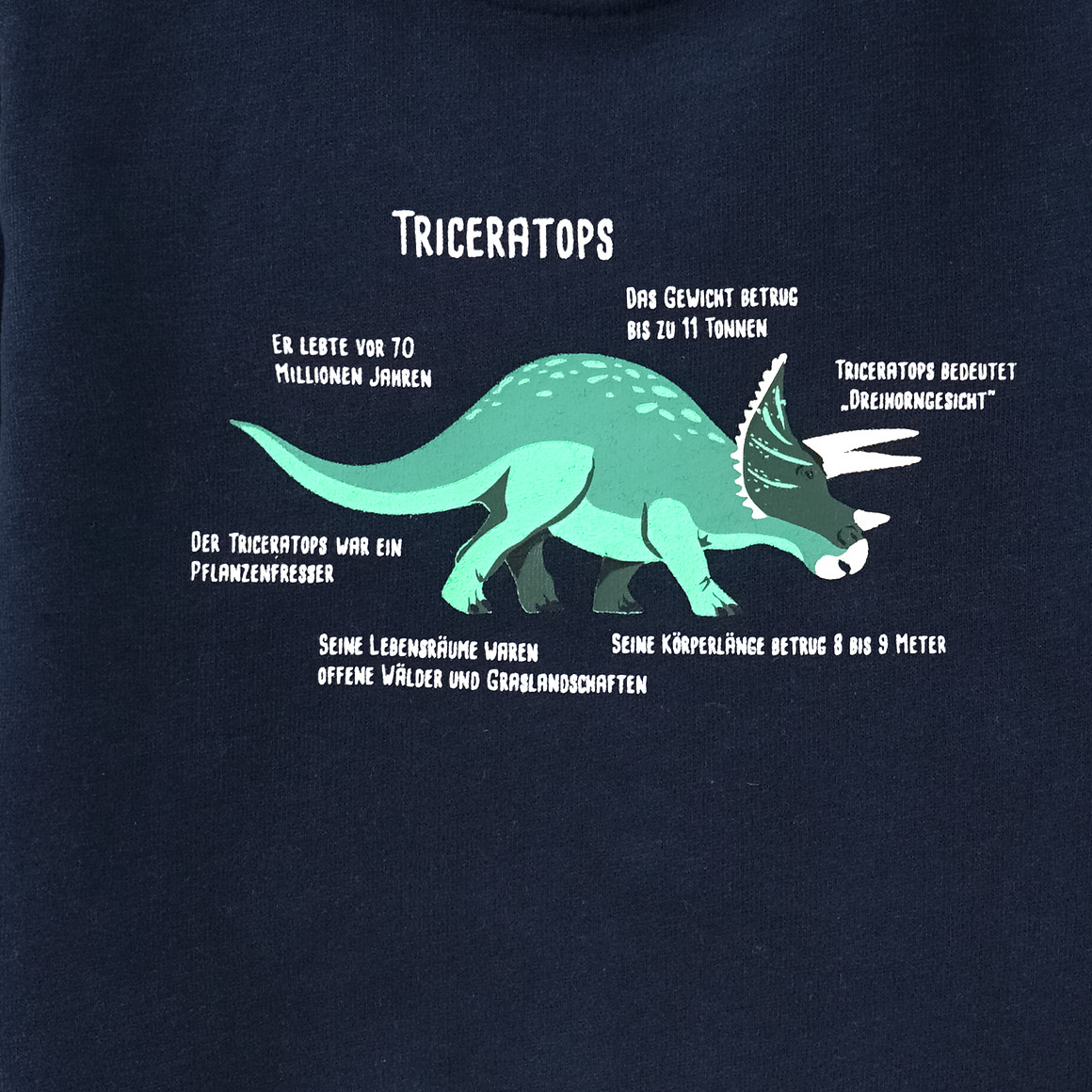 Topomini Baby Sweatshirt mit Triceratops dunkelblau