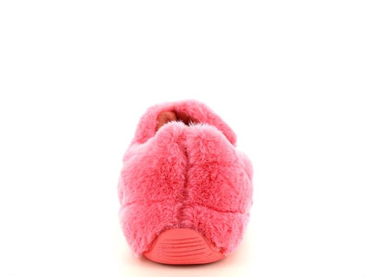 Verbenas Yeti Coral
