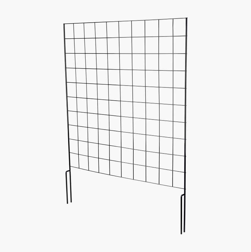 Espalier, 74 x 95 cm