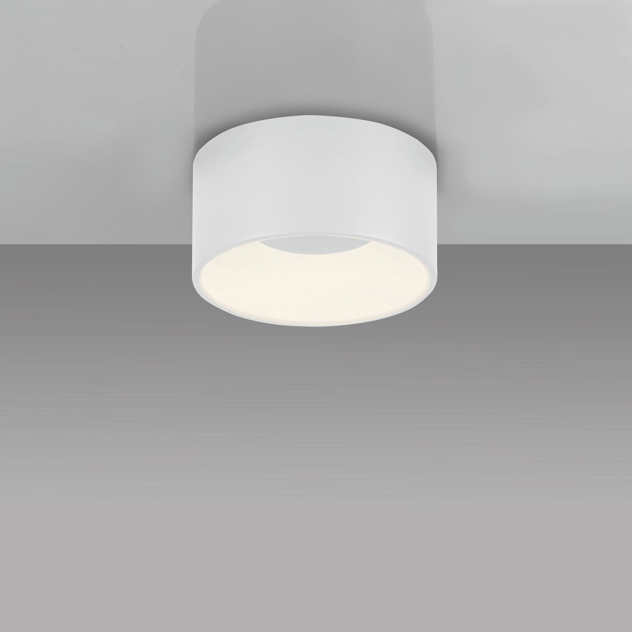 Just Light Deckenleuchte TANIKA