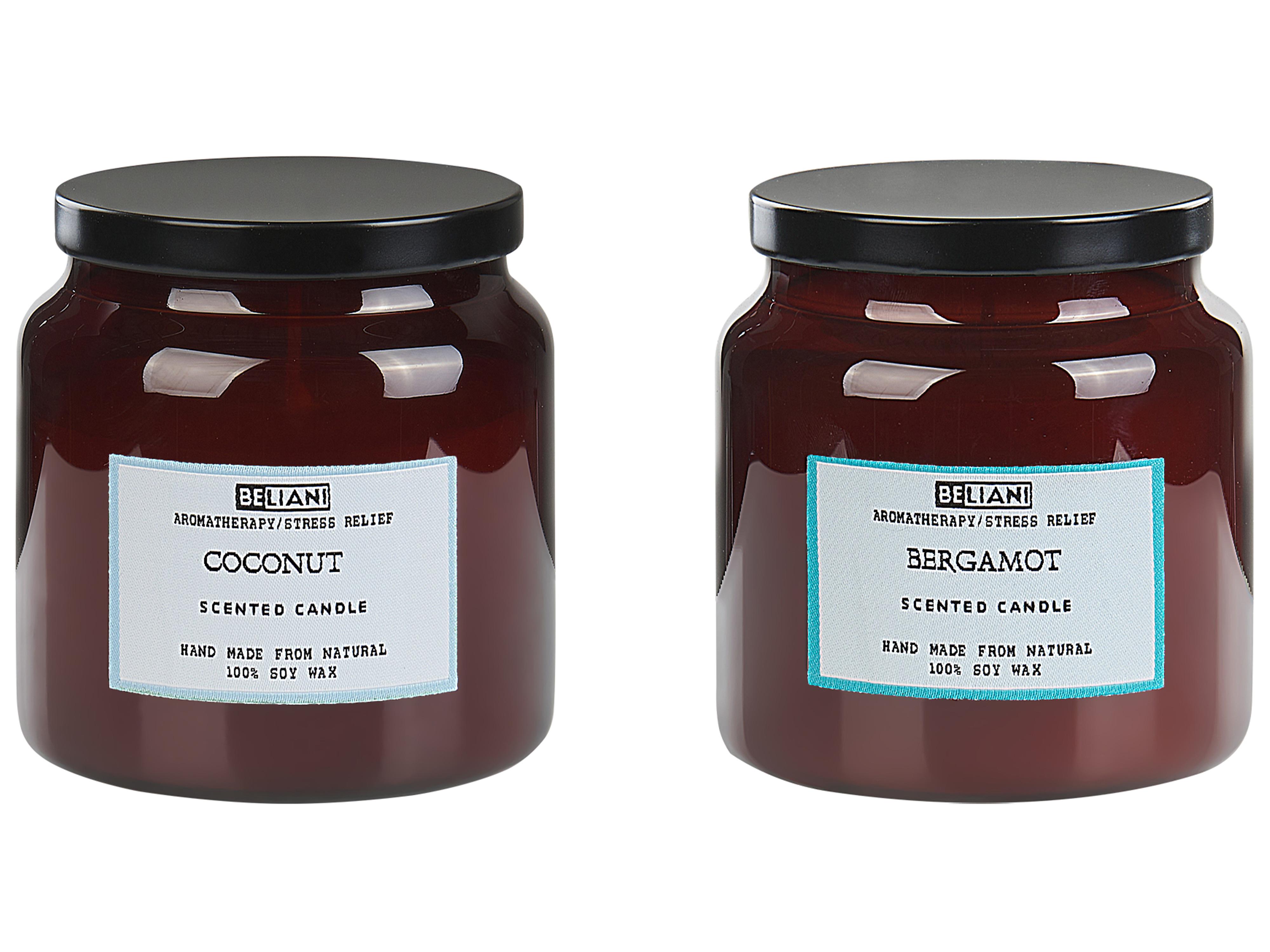 Set van 2 geurkaarsen ABSOLUTE ALCHEMY Soja wax Frisse geurnoten