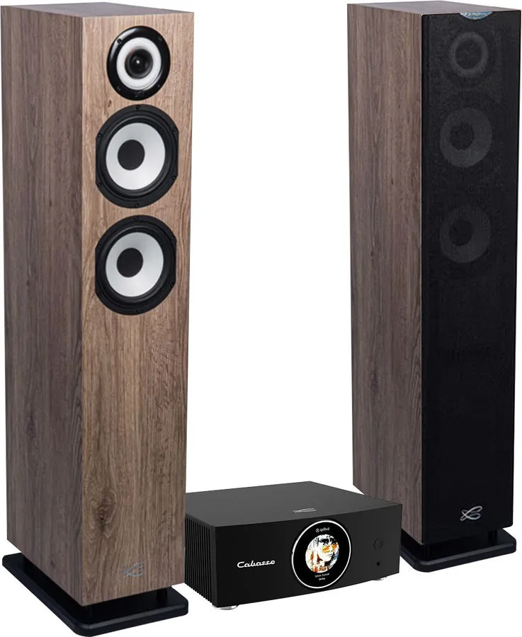 Cabasse Abyss   MC40 Java Chêne blanchi Chaînes hi-fi composées