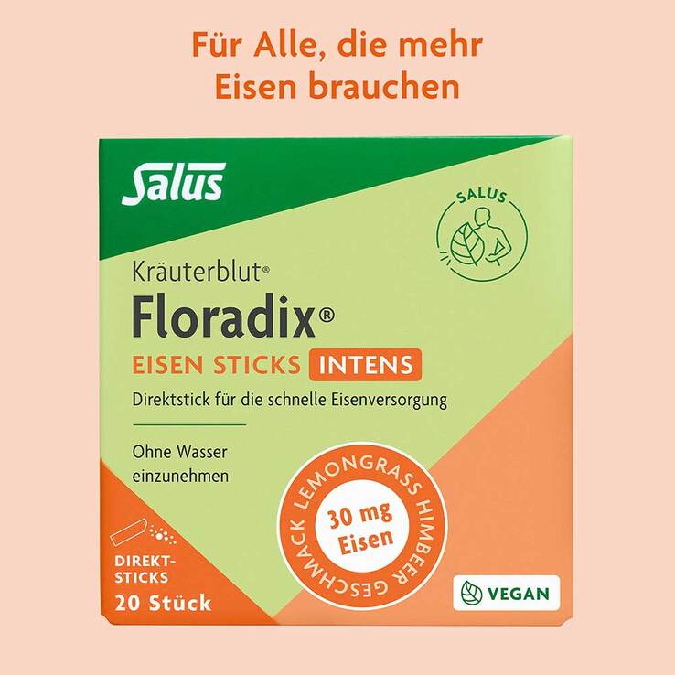 Floradix Eisen Sticks intens Pulver, 20 St