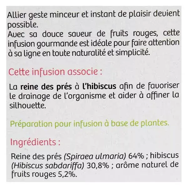 Vitavea BioNutrisanté - Infusion Silhouette - Saveur Fruits Rouges - 20 sachets