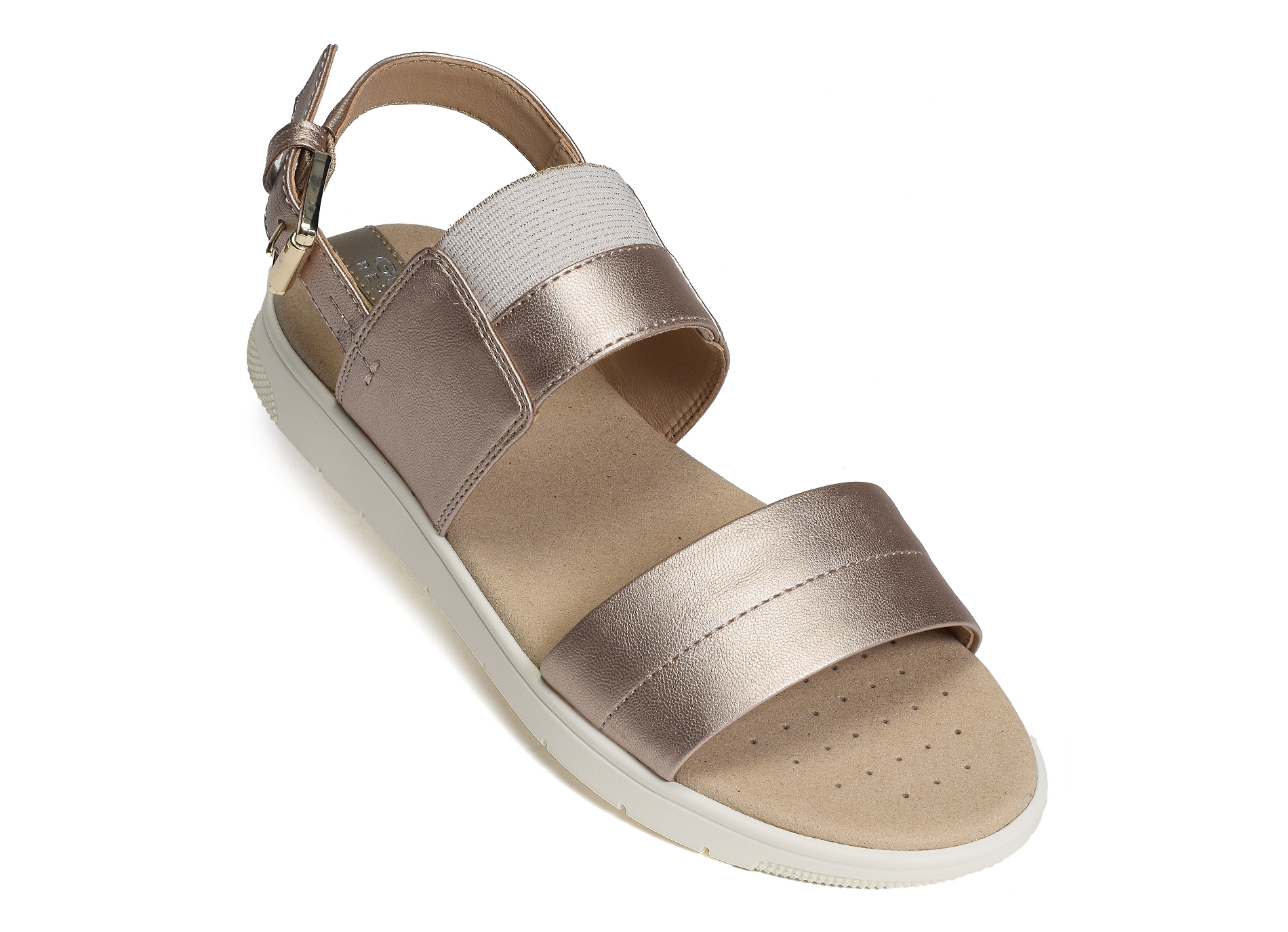 D dandra b bronze
