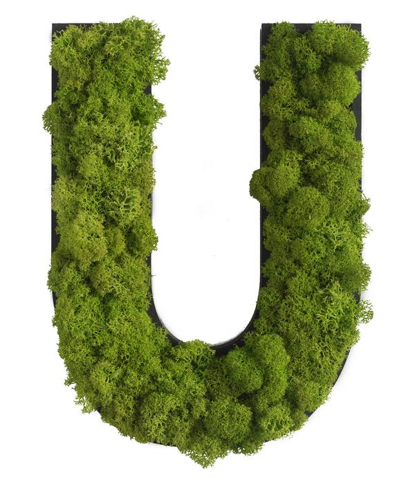 styleGREEN Buchstaben aus Islandmoos, ca. H25