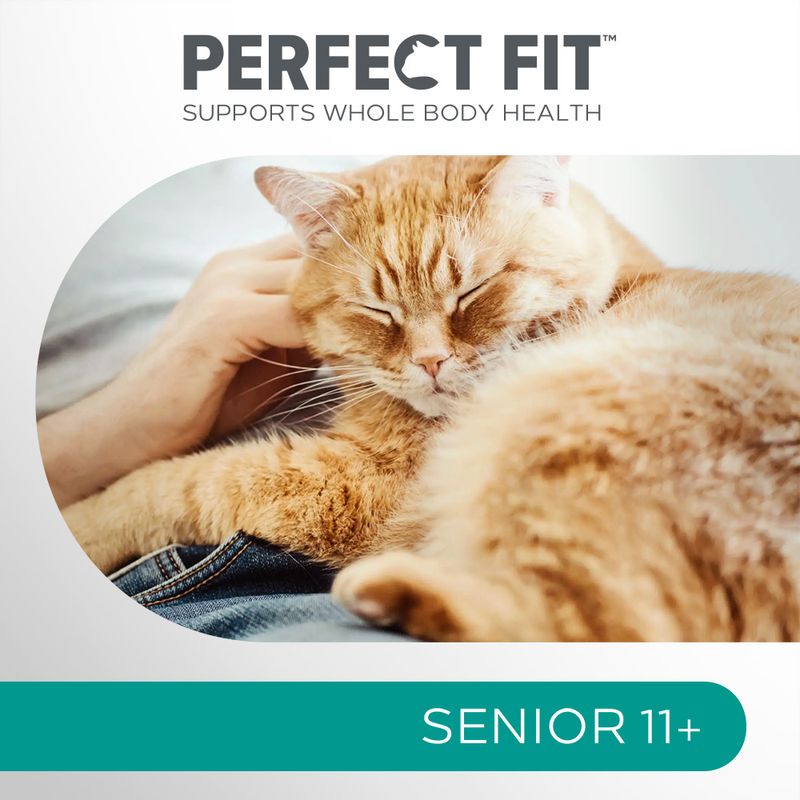 Perfect Fit Senior 11+ riche en poulet