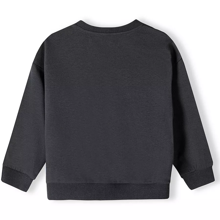 MINOTI Sweatshirt Dunkelgrau