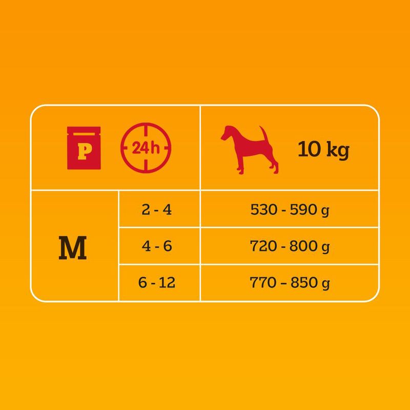 Multipack Pedigree Junior pour chiot