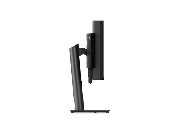 Lenovo ThinkVision P49w-30 - LED-skærm - kurvet - 49