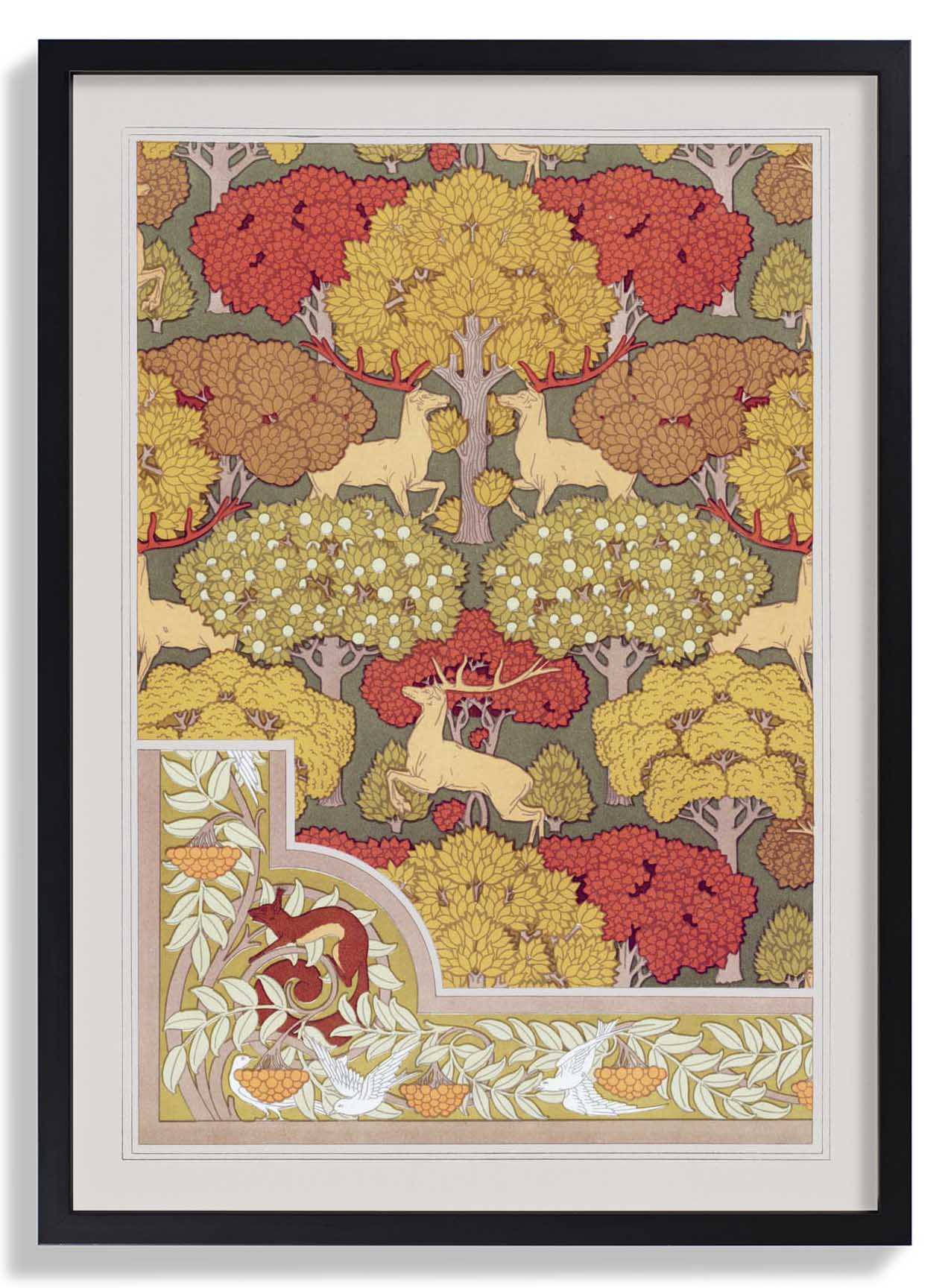 Rehe und Eichhörnchen