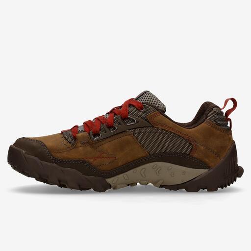 Anexo Merrell