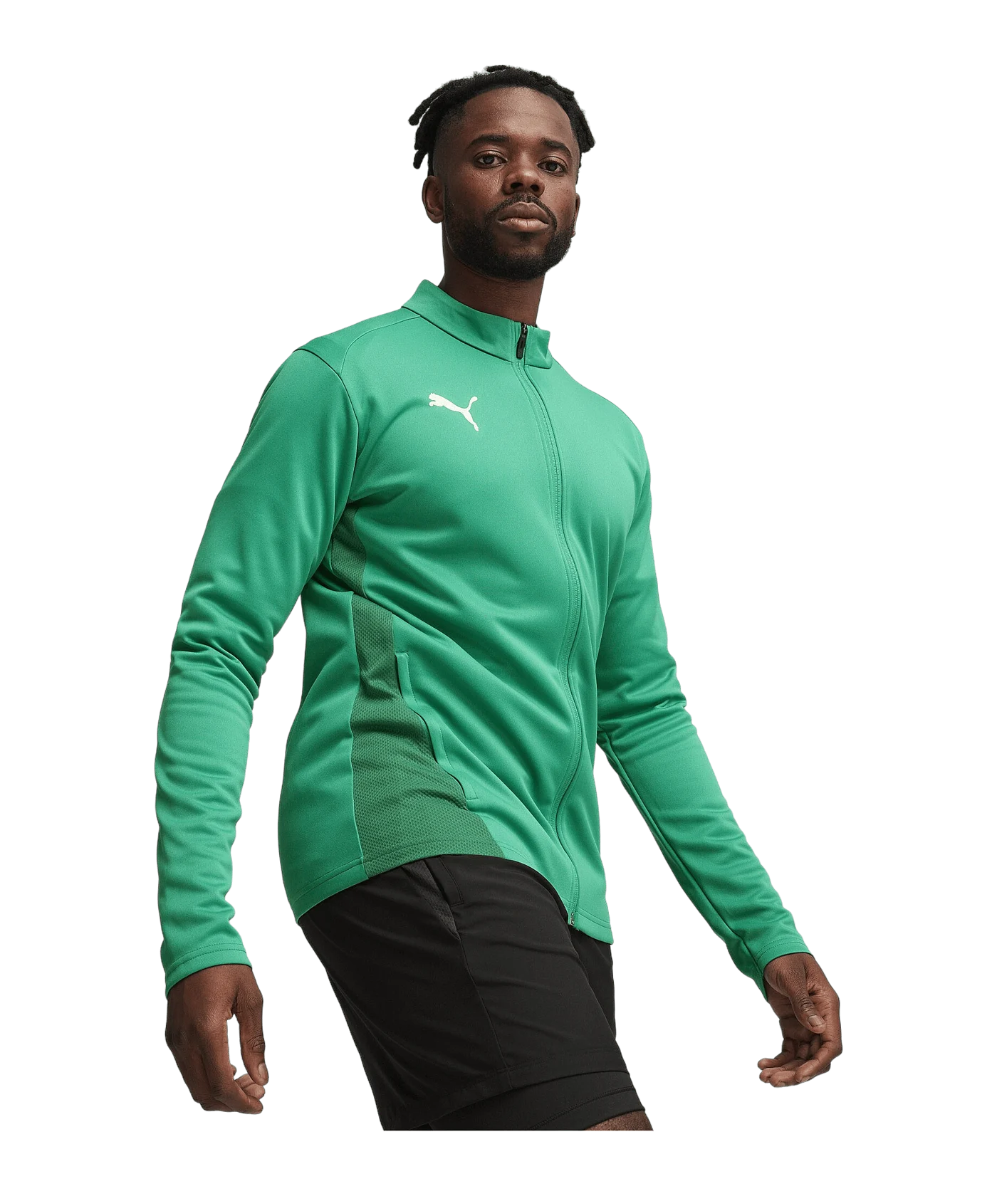 PUMA teamGOAL Trainingsjacke Grün F05