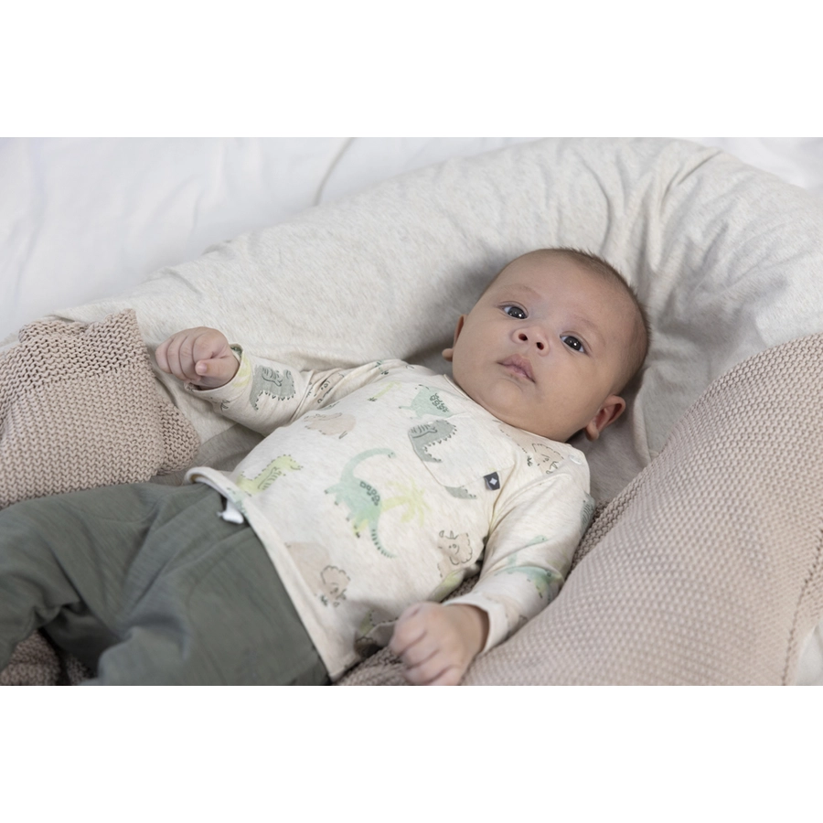 Feetje Langarmshirt AOP Cool-A-Saurus Sand Melange