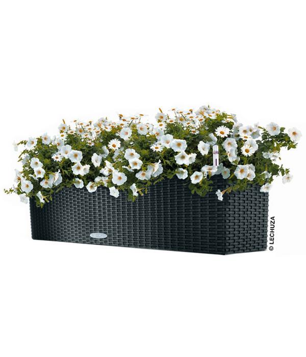 LECHUZA® Kunststoff-Kasten Balconera Cottage,