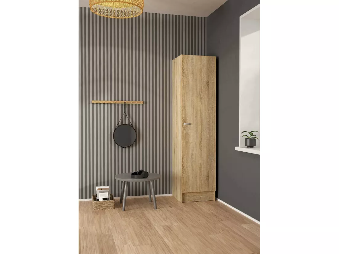 Grande Garde-robe Airone, Meubles de chambre, Penderie de plain-pied, Placard à vêtements, 49x47 h200 cm, Chêne