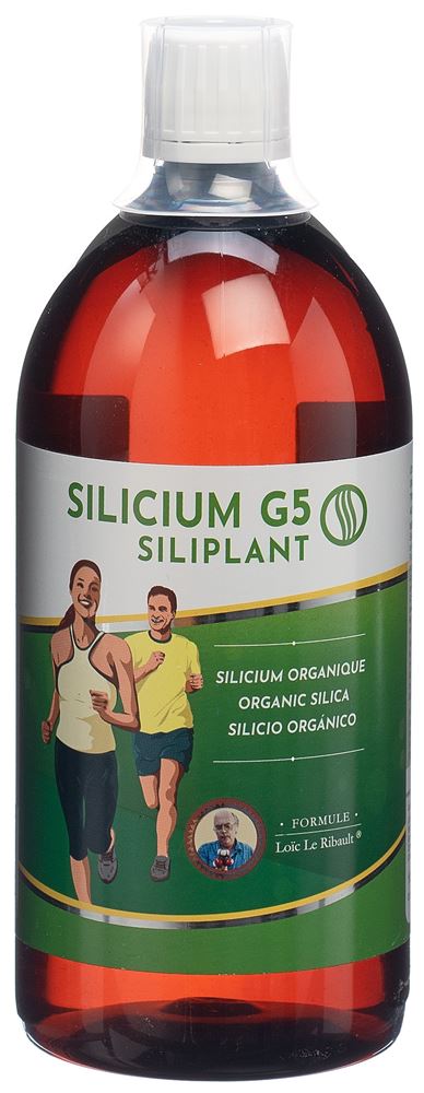 SILICIUM liq 1 lt<br>1 l, flüssig