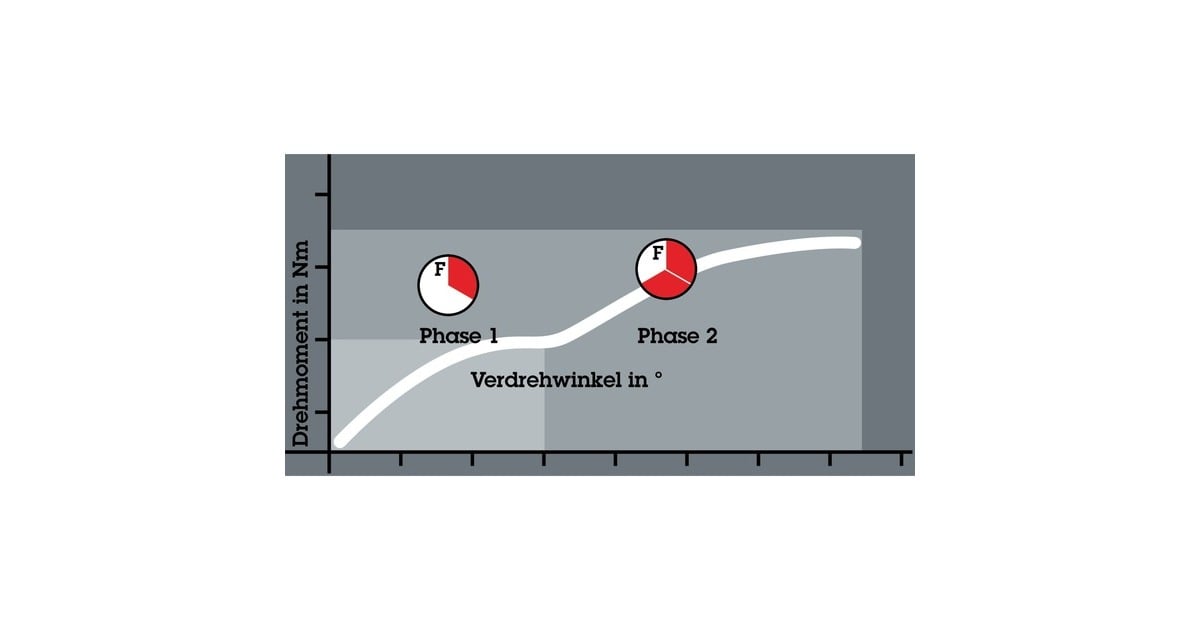 WeraBit-Check 12 BiTorsion 1 bitset  (12-delig)