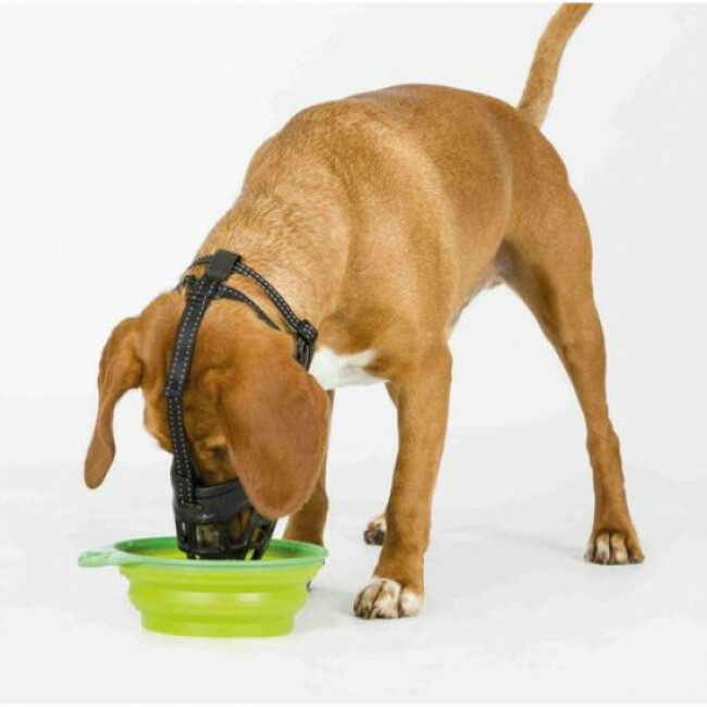 Muselière Muzzle flex Trixie pour chien