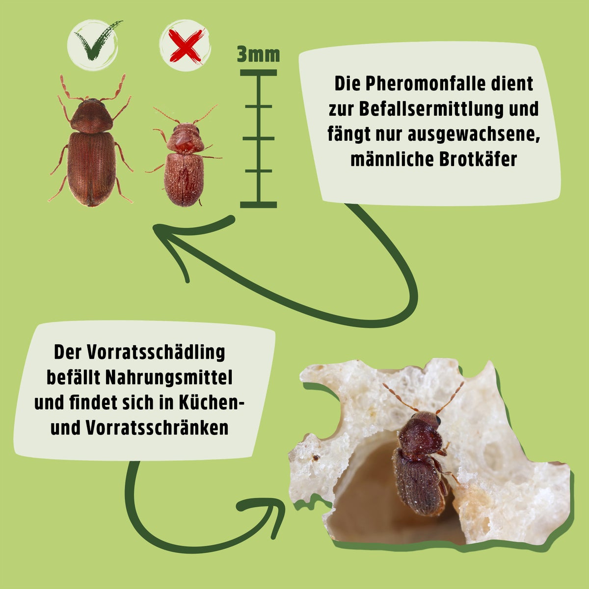 Broodkeverval, gifvrije feromoonval