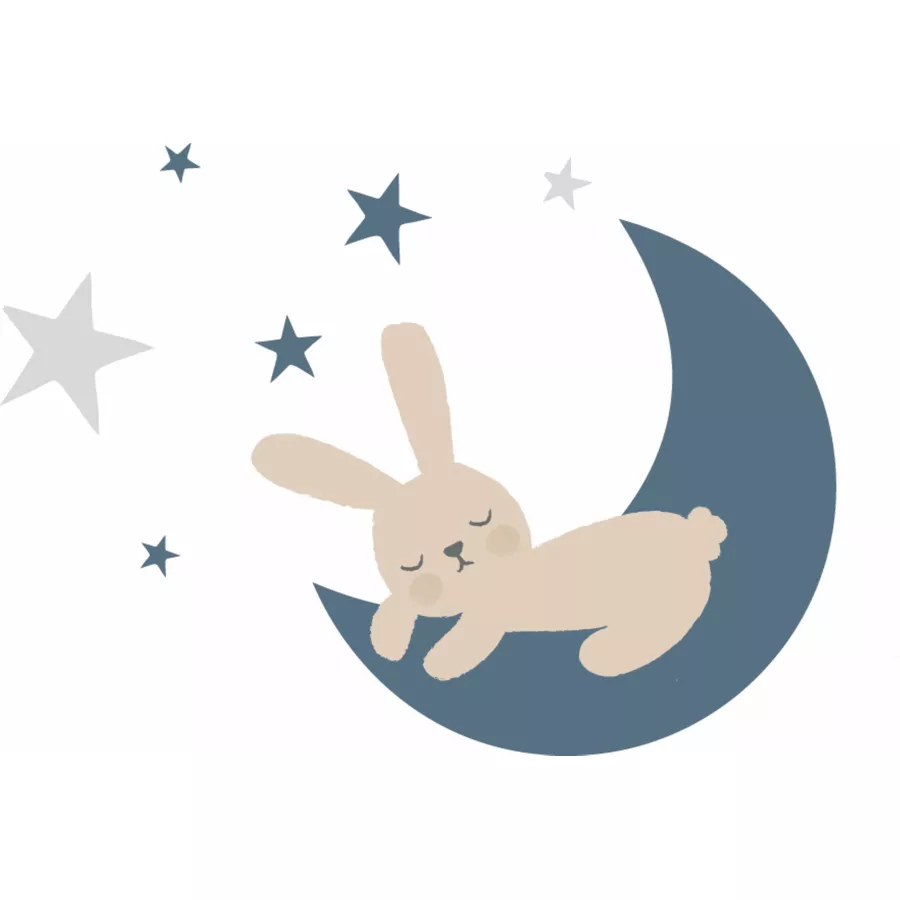 Liliput Langarmbody im 2er-Pack Sweat Dreams weiß