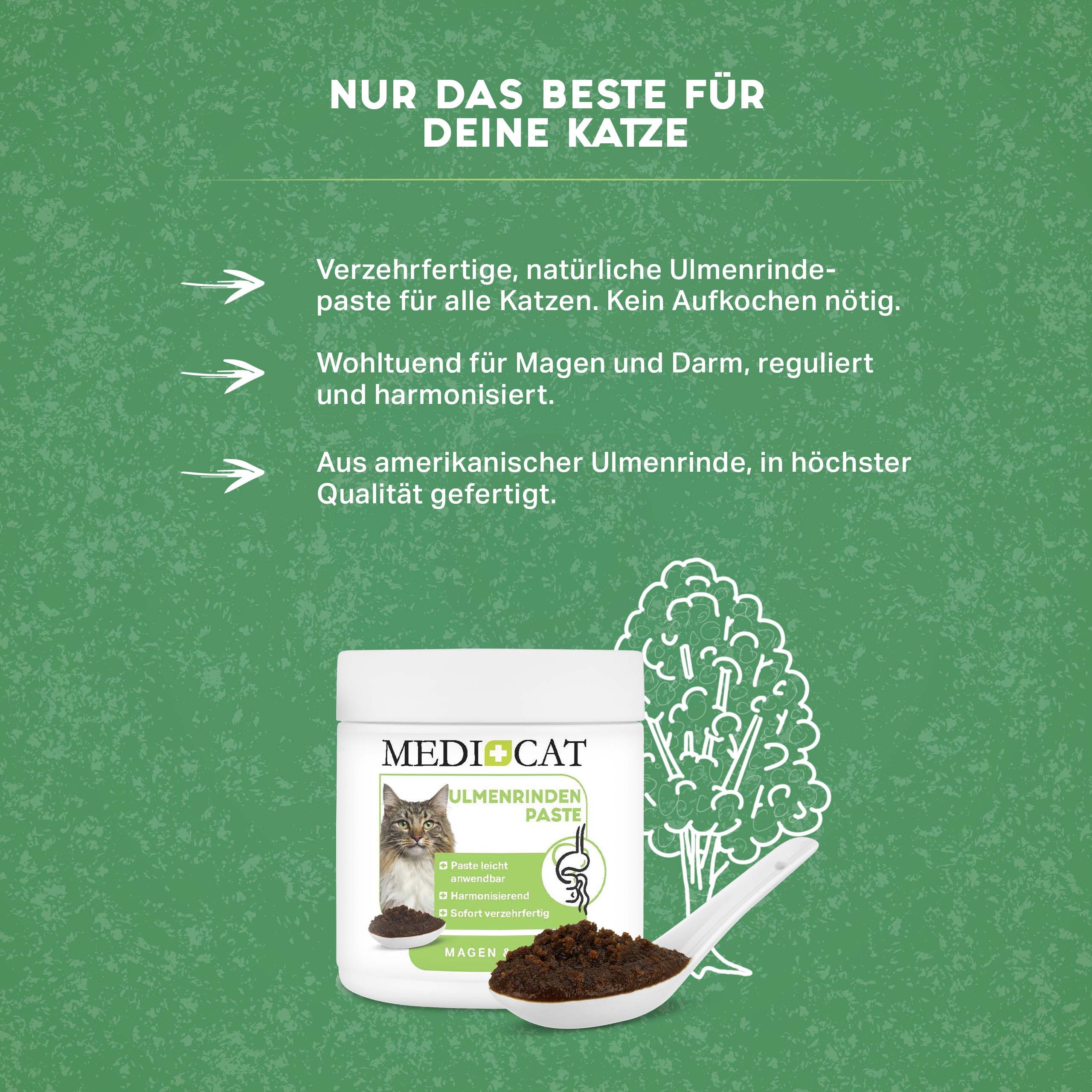 MEDICAT Ulmenrinde Paste