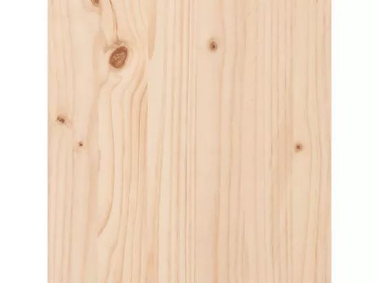 Aire de jeux d'extérieur bois de pin massif
