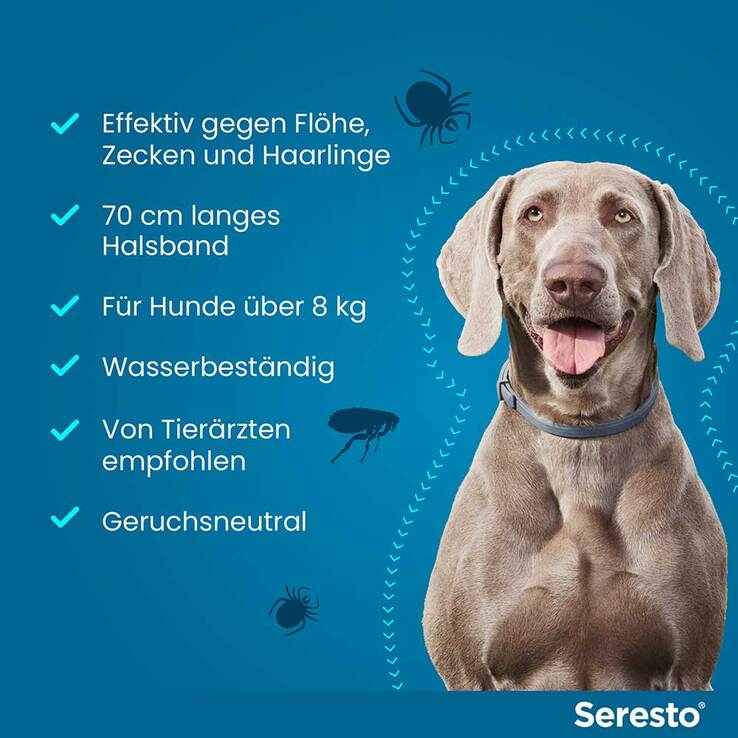 Seresto Halsband für große Hunde über 8 kg, 1 St