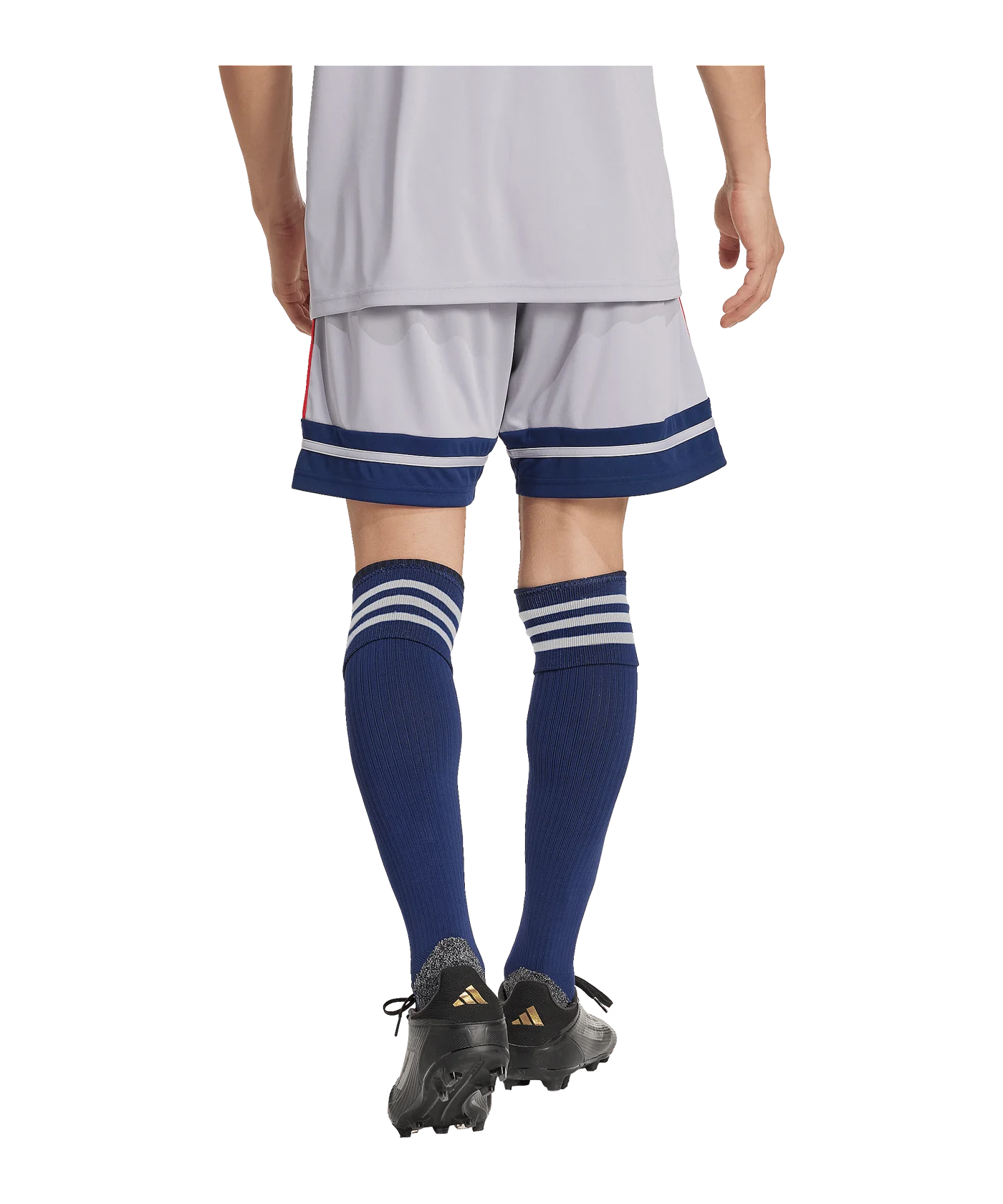 adidas Squadra 25 Short Grau