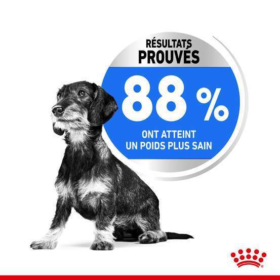 Croquettes petit chien en embompoint Light Weight Care 8kg