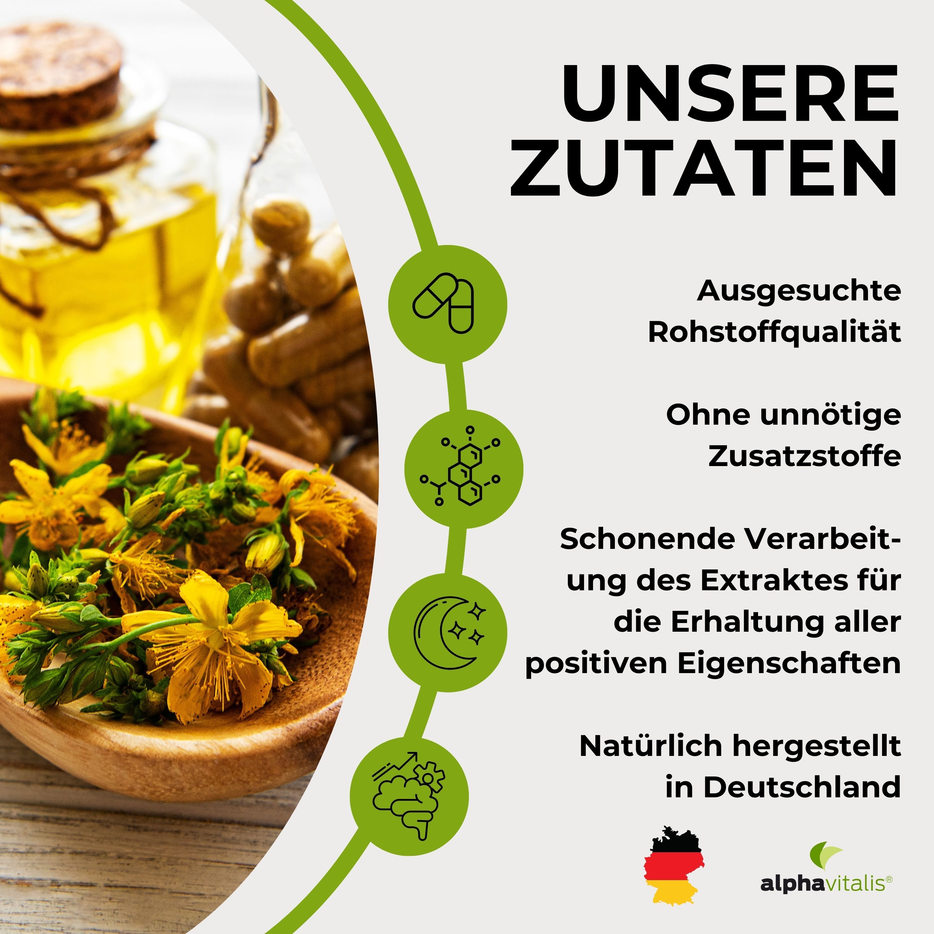 Alphavitalis® Johanniskraut Extrakt Kapseln mit Vitamin B6, B12