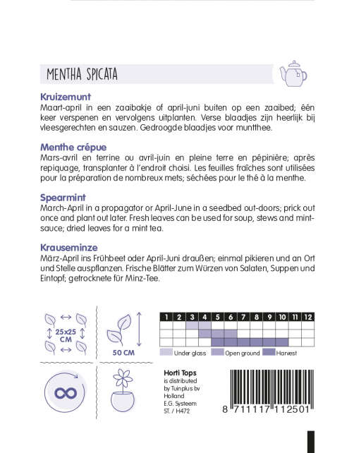 Hortitops Kruizemunt - Kruidenzaden - 100 g
