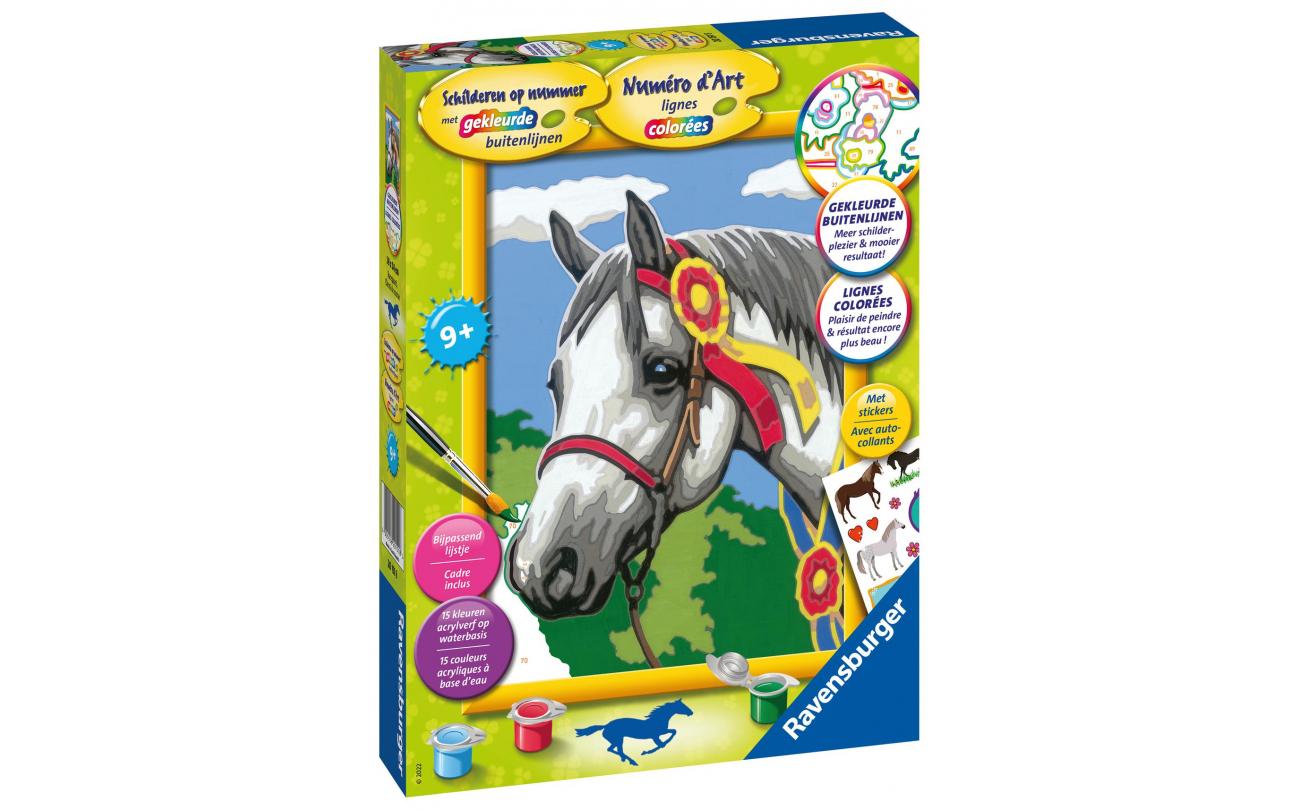 Racepaard