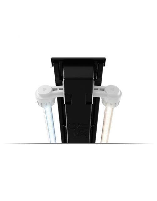 Juwel Aquarium Rio 350 Led 121x51x66 cm - Aquaria