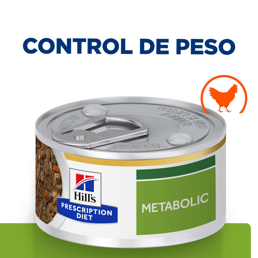 Hill's Prescription Diet Metabolic Chicken and Vegetable Stew (ensopado de frango e vegetais) em lata para gatos.