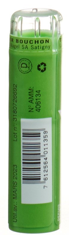 SCHMIDT-NAGEL Arnica Gran 9 CH 4 g