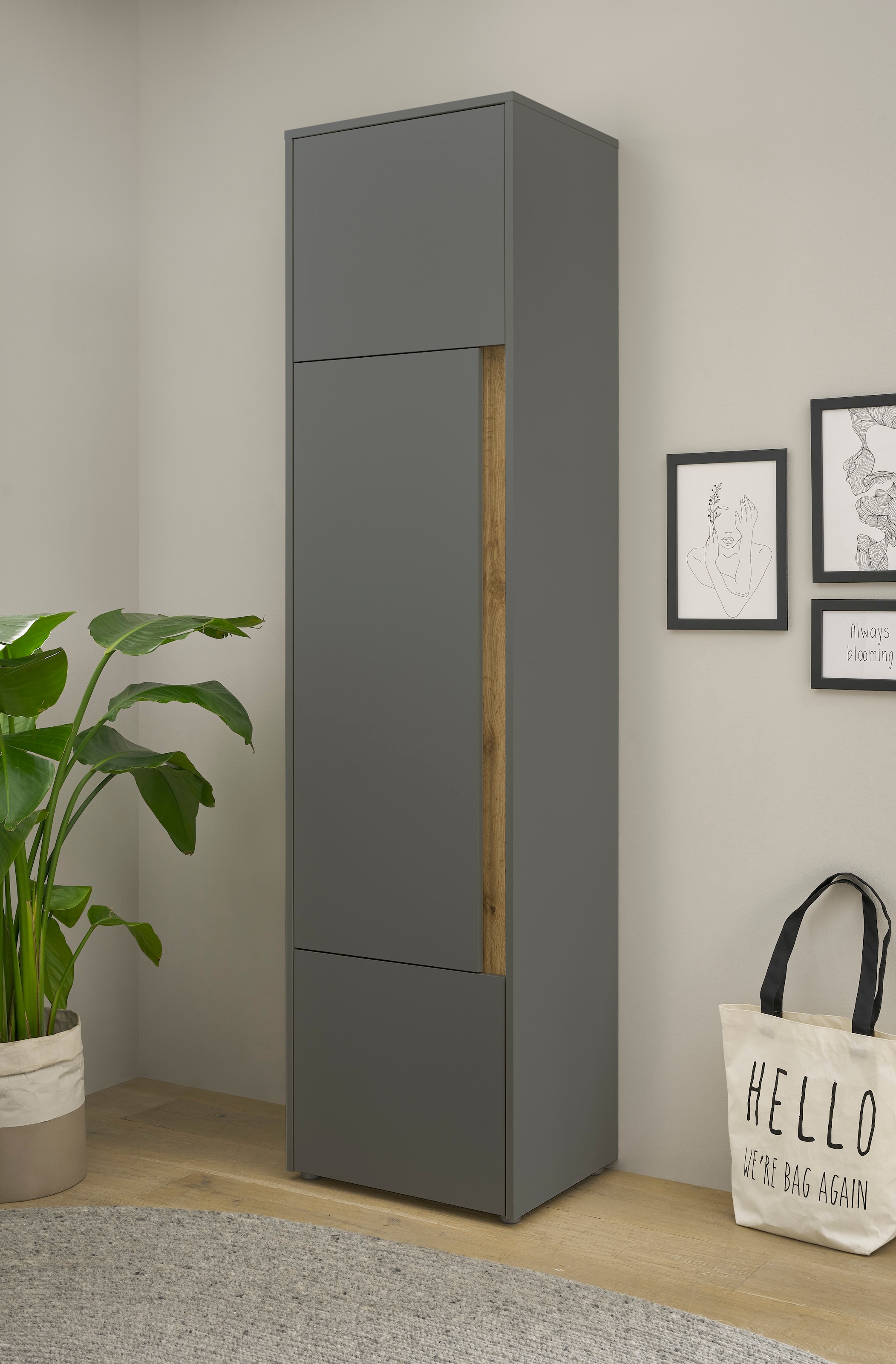INOSIGN Aktenschrank »CiTY/GiRON« Stauraumschrank zeitlos modern, wohnliches Home Office, Breite 50 cm