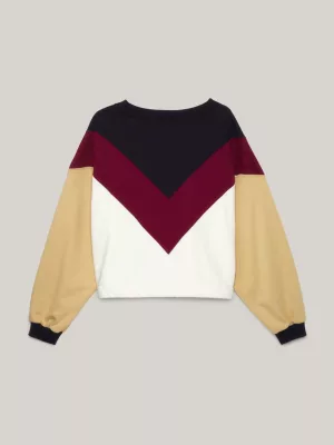 Moletom Relaxado com Listras Chevron Crest
