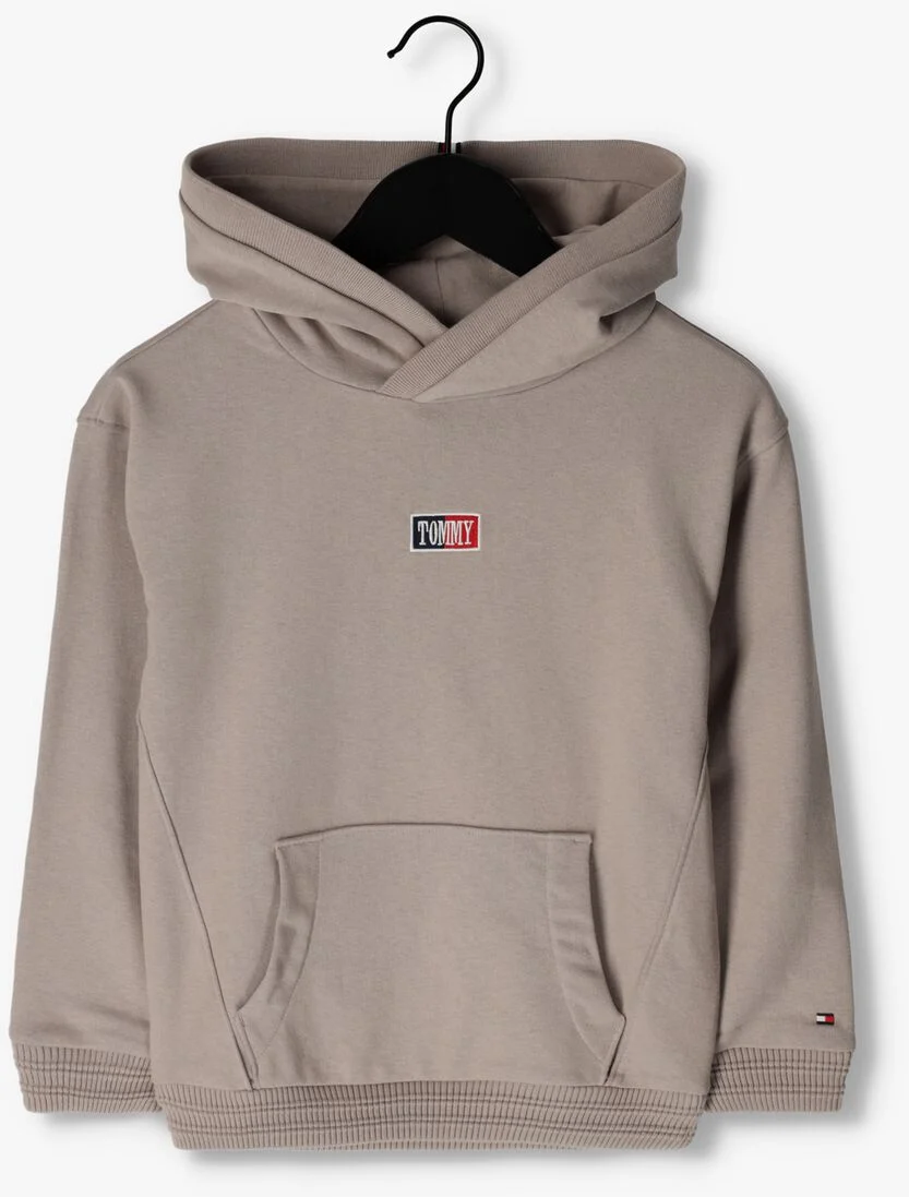 TOMMY HILFIGER beige tommy hilfiger sweater timeless tommy hoodie