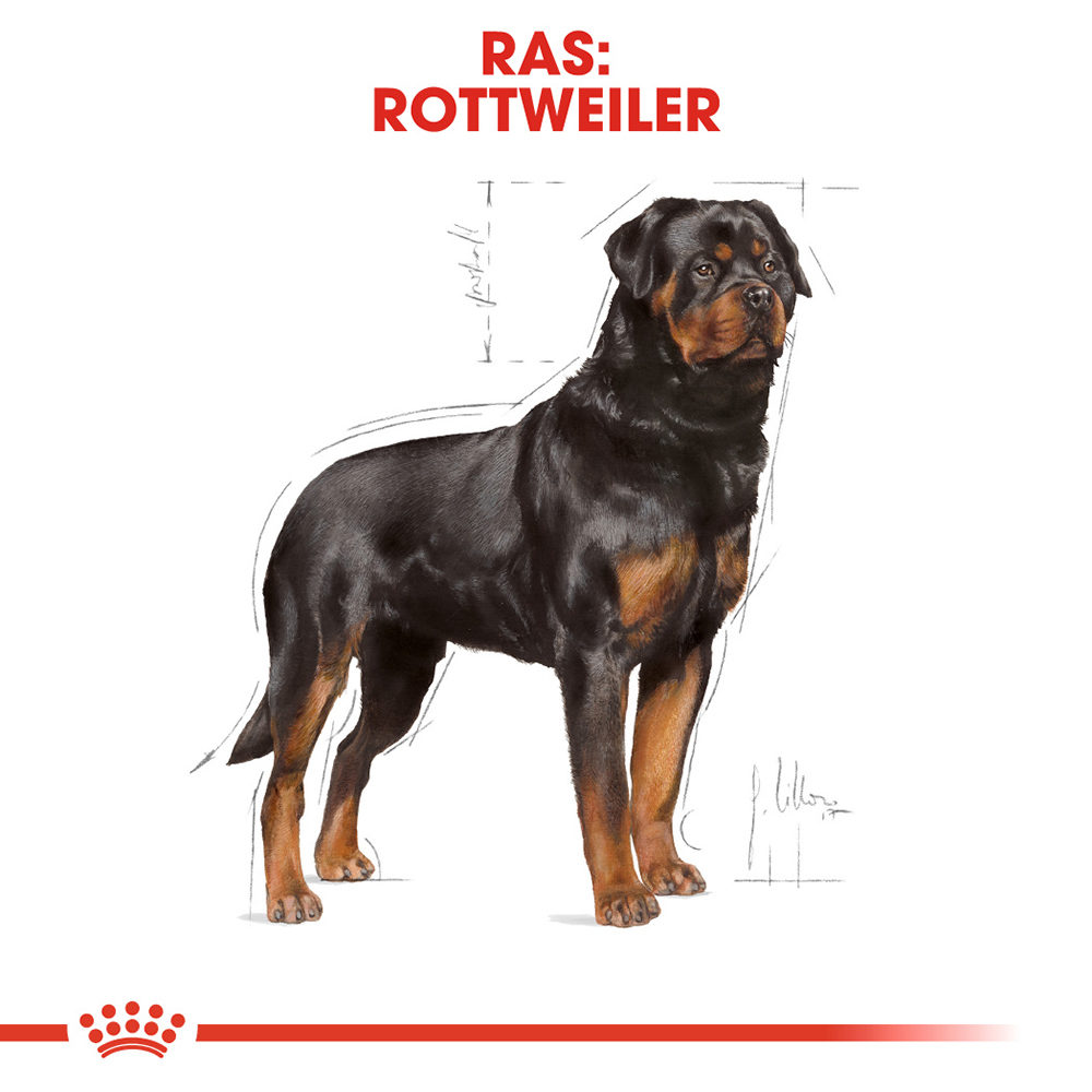 Royal Canin Rottweiler Adult - Hondenvoer